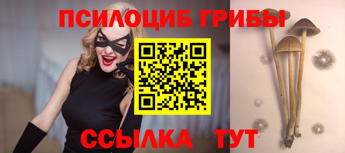 Галлюциногенные грибы прущие грибы  купить наркотик  Вход с VPN  Тосно  Галлюциногенные грибы мицелий 